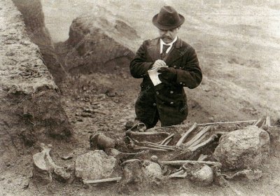 Archaeological Collections