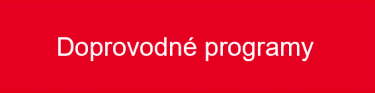 doprovod_programy.png
