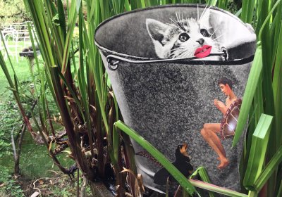 Collage in the Garden. Cat, Dog and Turtle.