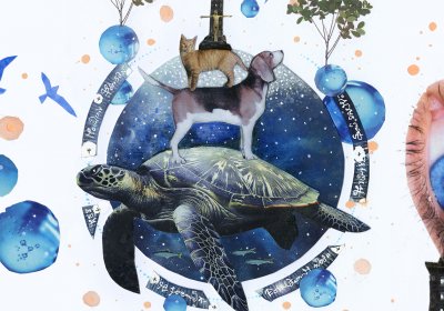 Collage in the Garden. Cat, Dog and Turtle.