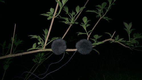 Soundcamp 2026: Pssst, svítá