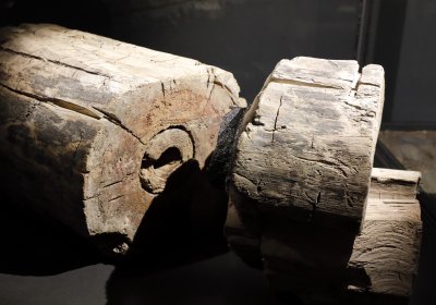 Archeologické expozice